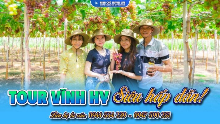 Tour Vĩnh Hy kết hợp tham quan vườn nho thái an